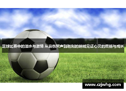 足球比赛中的泪水与激情 从哀伤哭声到胜利的呐喊见证心灵的震撼与成长