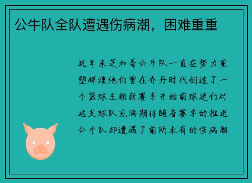 公牛队全队遭遇伤病潮，困难重重
